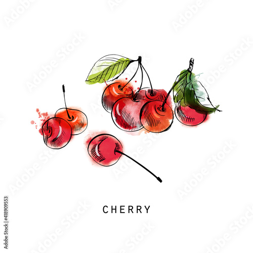 Cherry watercolor sketch