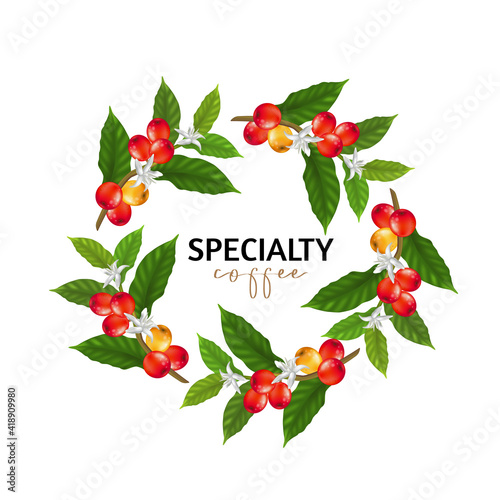 Vector illustration of Specialty coffee, Branches of coffee tree with leaves and berry