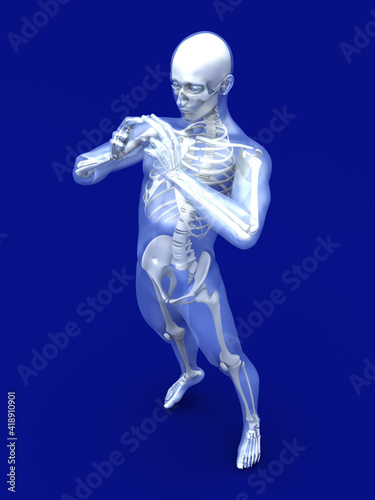 Male Human anatomy visualisation