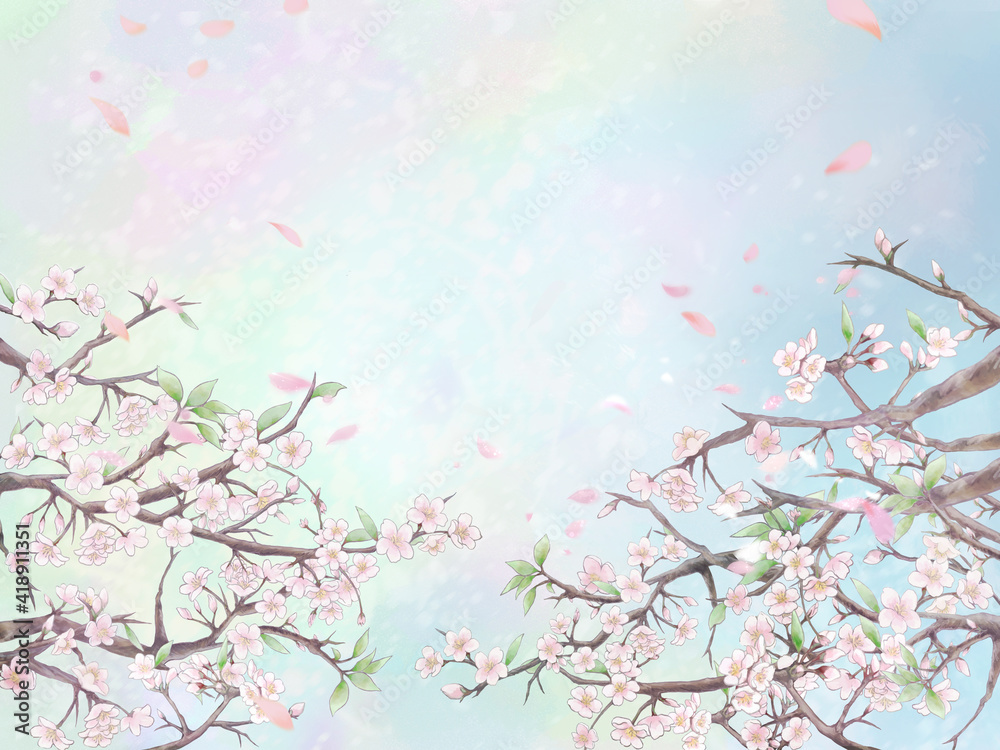 桜と花びらの背景イラスト1/カラー背景