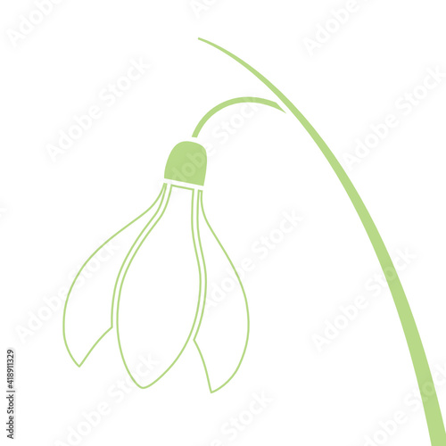 spring snowdrop flower