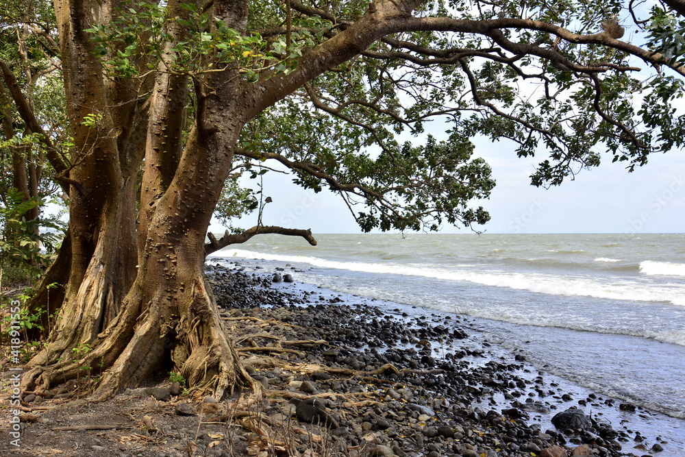 Paisajes y rincones de la isla de Ometepe, situada en el lago Cocibolca, en el sur oeste de Nicaragua Paisajes y rincones de la isla de Ometepe, situada en el lago Cocibolca, en el sur oeste de Nicaragua