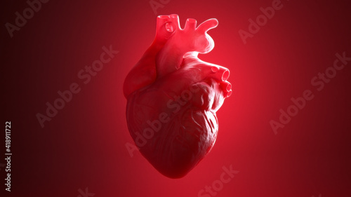 3D Rendering of a Human Heart, Macro Rimlight photo