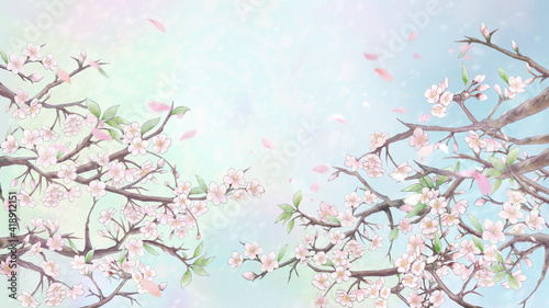 桜と花びらの背景イラスト2/カラー背景