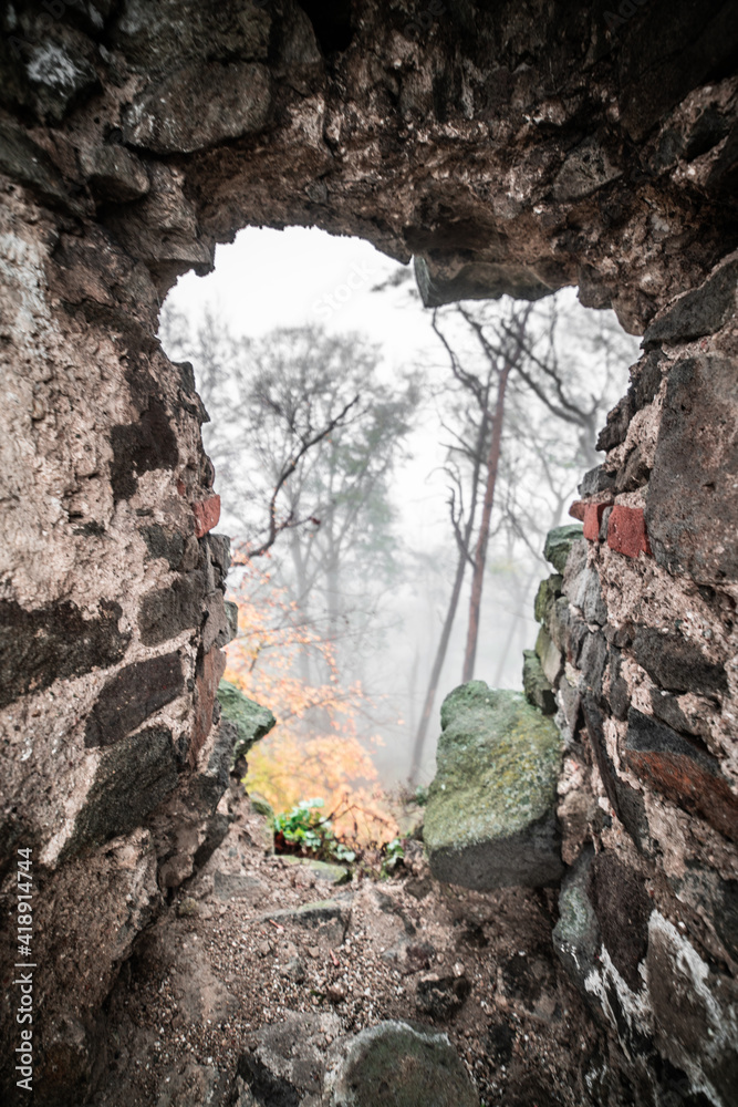old castle in a foggy forest