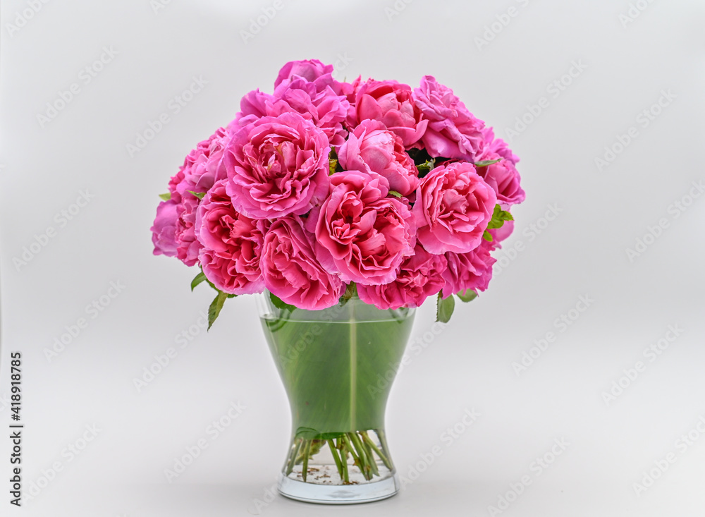 ROSE FLOWER BOUQUET, BEAUTIFUL ROSE FLOWER BOUQUET, GARDEN FRESH FLOWER BOUQUET