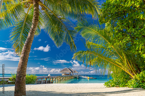 Maldives beach resort landscape, relaxing palm tree leaves with blue sky, water villa. Idyllic summer travel vacation, holiday destination. Exotic inspirational nature view, tropical island paradise. © icemanphotos