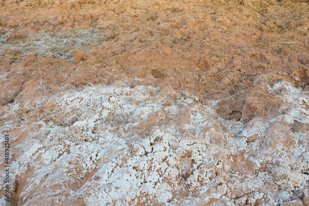 Salty soil Salty soil