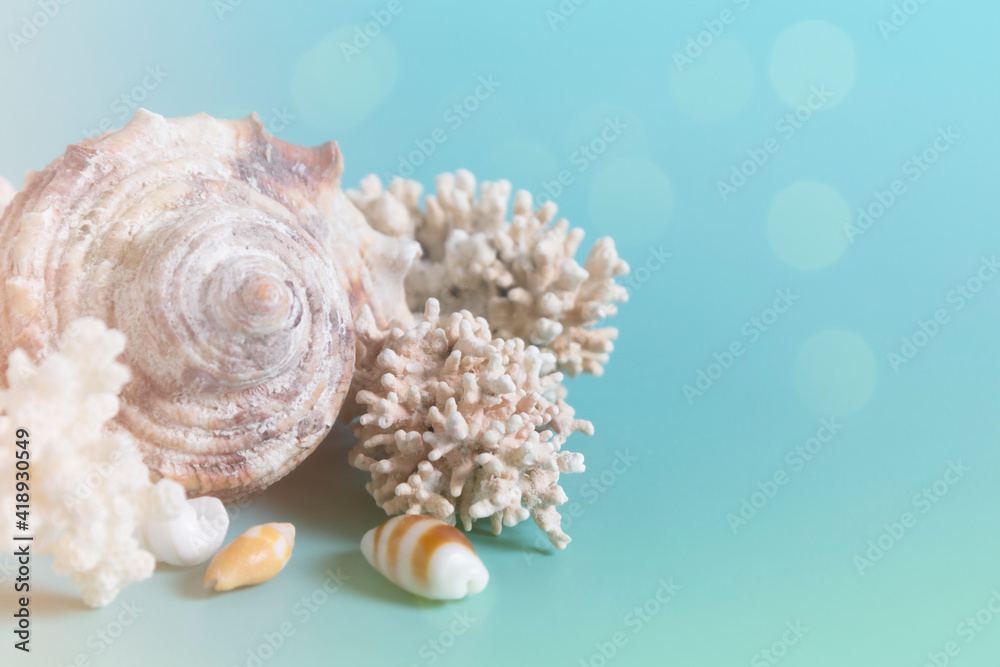 Summer sea background - shells and coral on a blue background. Close up. Summer sea background - shells and coral on a blue background. Close up.