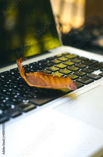 A fallen autumn leaf on a black keyboard