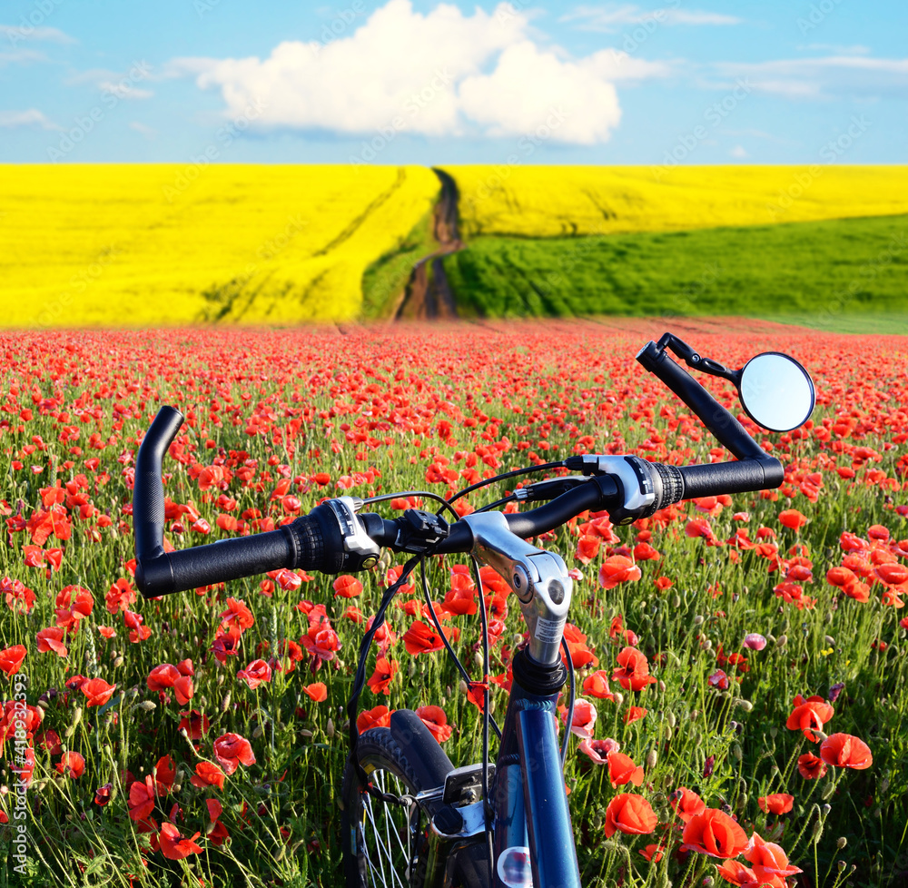 Beautiful landscape with the bike in the middle field with poppies and rape