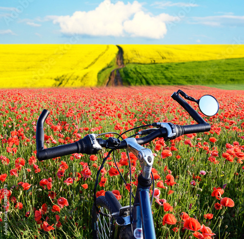 Beautiful landscape with the bike in the middle field with poppies and rape