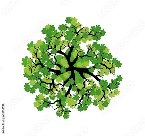 Tree top view. Easy to use in your landscape design projects