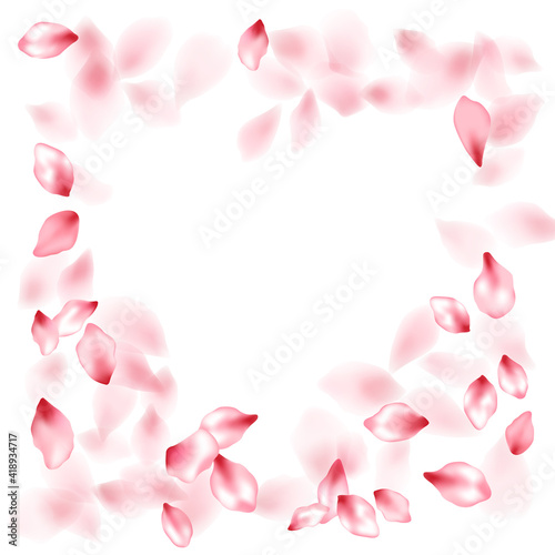 Pink sakura flower flying petals isolated on white vector background. © SunwArt
