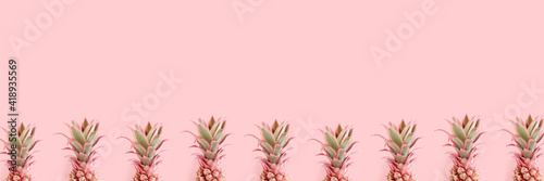 Header with frame made of pink pineapples. Trendy summertime concept with copyspace.
