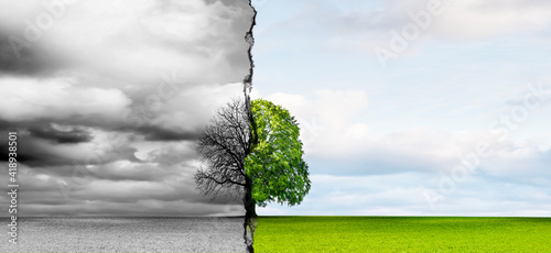 Klimaveränderung von Karger Landschaft zu Grünem Wachstum