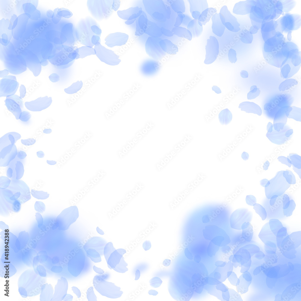Dark blue flower petals falling down. Glamorous ro Dark blue flower petals falling down. Glamorous ro