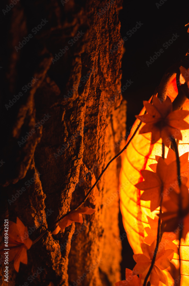 Warm Chinese lantern throws light on the tree