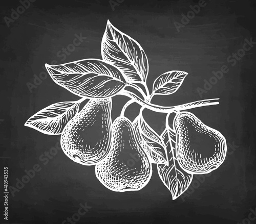 Chalk sketch of pear.