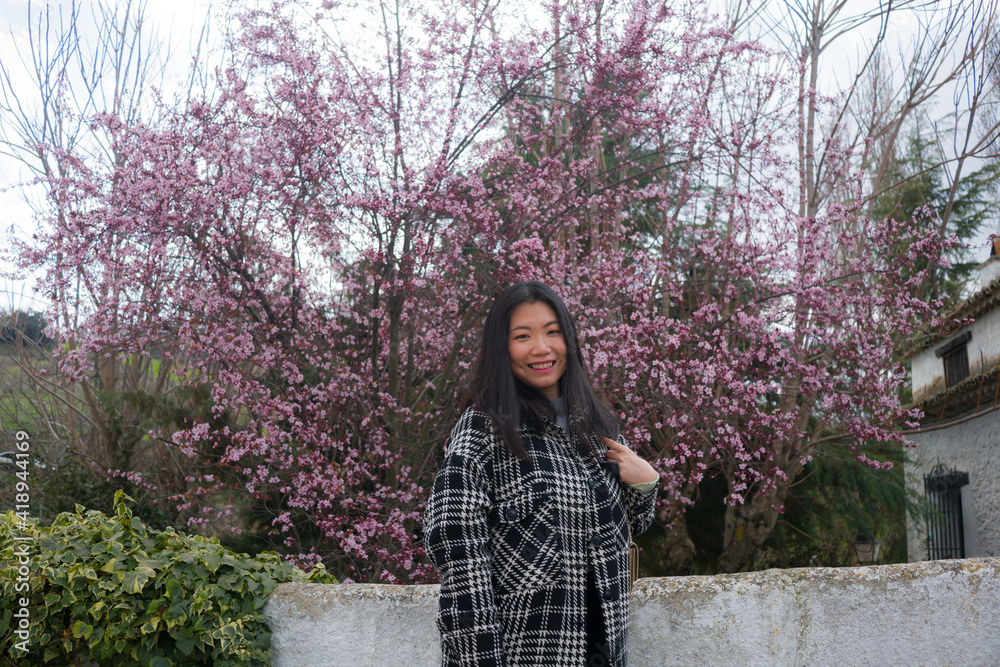 outdoors lifestyle portrait of young happy and beautiful Asian Japanese woman enjoying sakura blooming tree in pink flowers smiling playful outdoors lifestyle portrait of young happy and beautiful Asian Japanese woman enjoying sakura blooming tree in pink flowers smiling playful