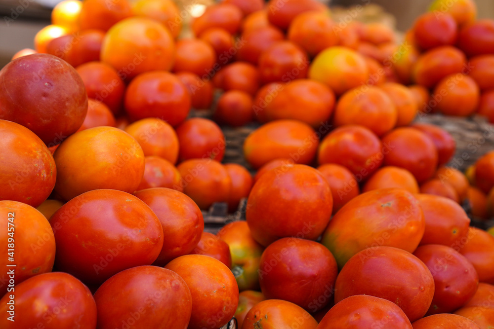 Baskets of Fresh organic tomatoes 
