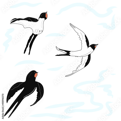 Free swallows in the sky illustration. Idea for decors, picture in frame, gifts, ornaments, patterns, celebrations, invitation, greeting, wedding, spring holidays, nature themes. Ready-made artwork. 