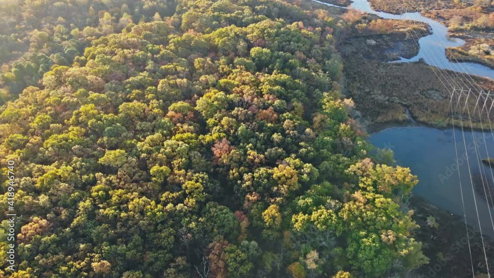 Autumn top view of beautiful forest with yellow deciduous trees Autumn top view of beautiful forest with yellow deciduous trees
