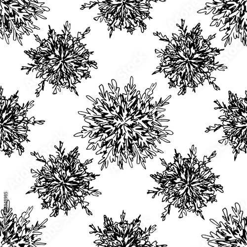 Simple hand-drawn floral vector seamless pattern. Spores of desert plants, selaginella lepidophylla, jericho rose, resurrection flower, anastatica on a white background. Packaging design, label.