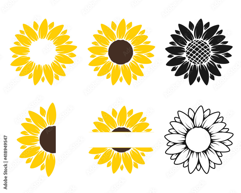 Vector yellow sunflower. Sunflower silhouette text frame Isolated on white background.