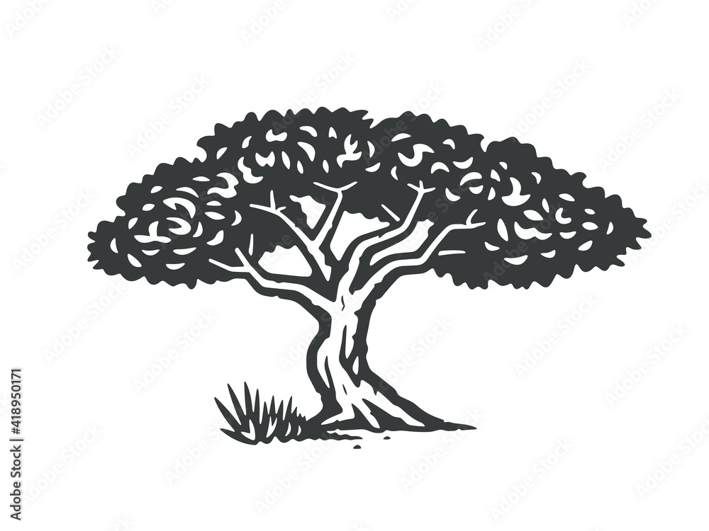 African tree. Vector illustration. Monochrome version.