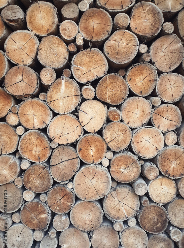close up view of natural chopped wood wall close up view of natural chopped wood wall