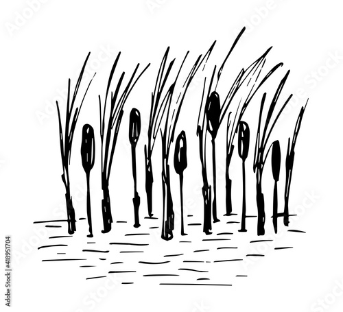 Simple hand-drawn vector drawing in black outline. Lake shore, reeds, calm water, river, swamp. Nature, landscape, duck hunting, fishing.