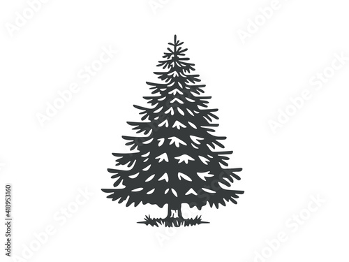 Vector illustration of a spruce tree. Monochrome version.