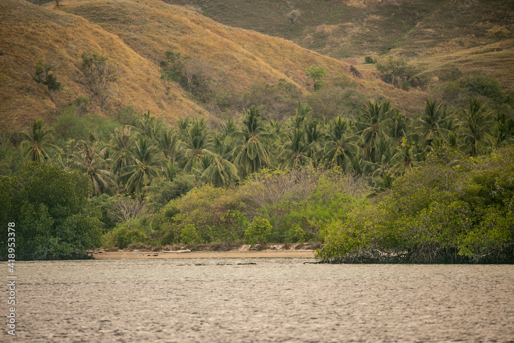 Landscape from Komodo Island of East Indonesia.