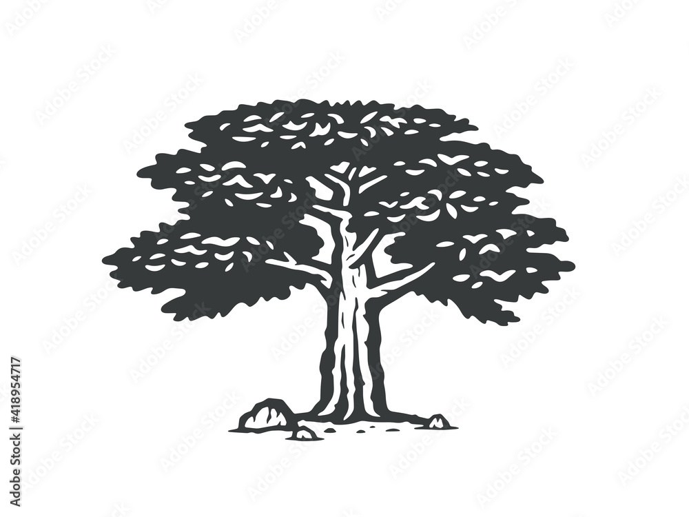 Vector illustration of a tree. Monochrome version.
