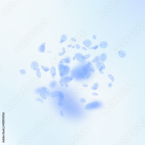 Dark blue flower petals falling down. Precious rom