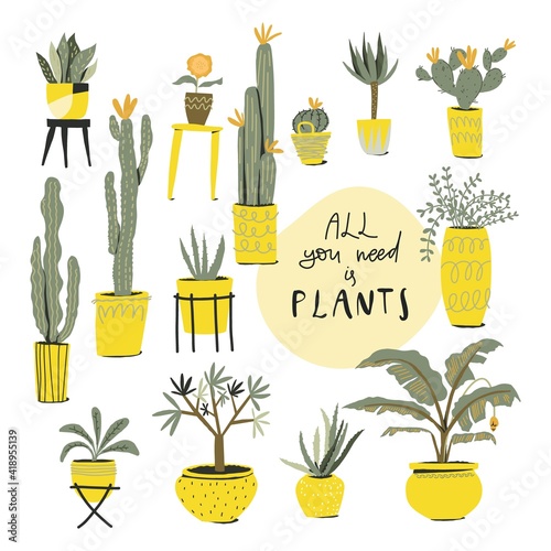 Plants in the pots. Lettering style text: all you need is plants. Vector set of objects