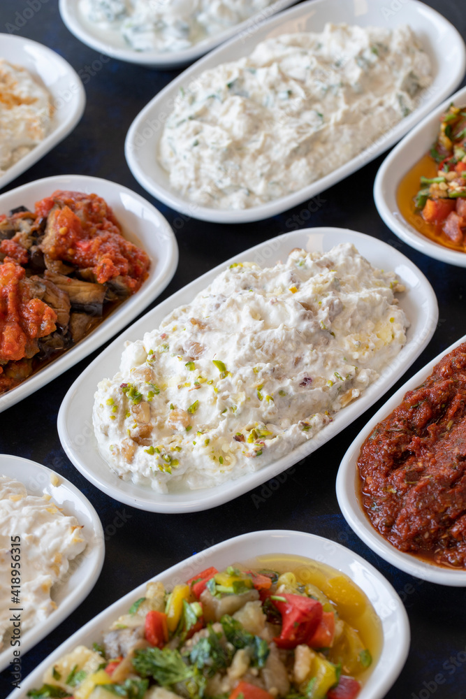 Traditional Turkish and Greek food appetizer table. Grilled eggplant salad (saksuka), Anamur salad, Baba Ghanoush (Mutabbal), pasha appetizer, spicy paste or harissa, purslane salad. Selective focus Traditional Turkish and Greek food appetizer table. Grilled eggplant salad (saksuka), Anamur salad, Baba Ghanoush (Mutabbal), pasha appetizer, spicy paste or harissa, purslane salad. Selective focus