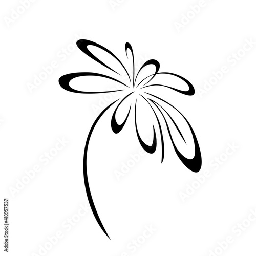 one stylized blooming flower on a short stalk without leaves in black lines on a white background