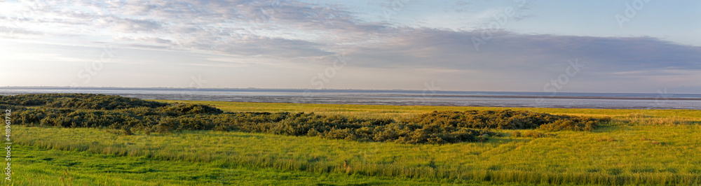Panorama of salt marshes and wadden sea on the north sea island Juist, East Frisia, Germany, Europe, in early morning light.