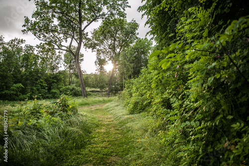 secret way through a field in Sweden