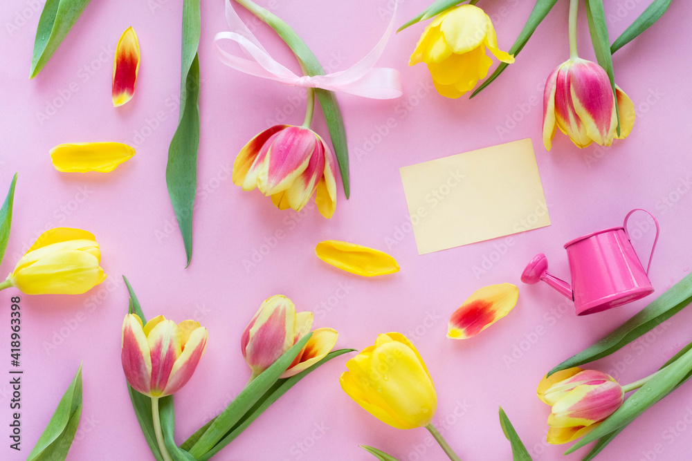 Spring pink background of colorful tulips, petals, watering can