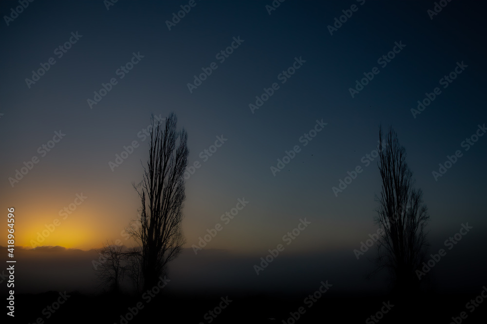 Sunrise silhouette