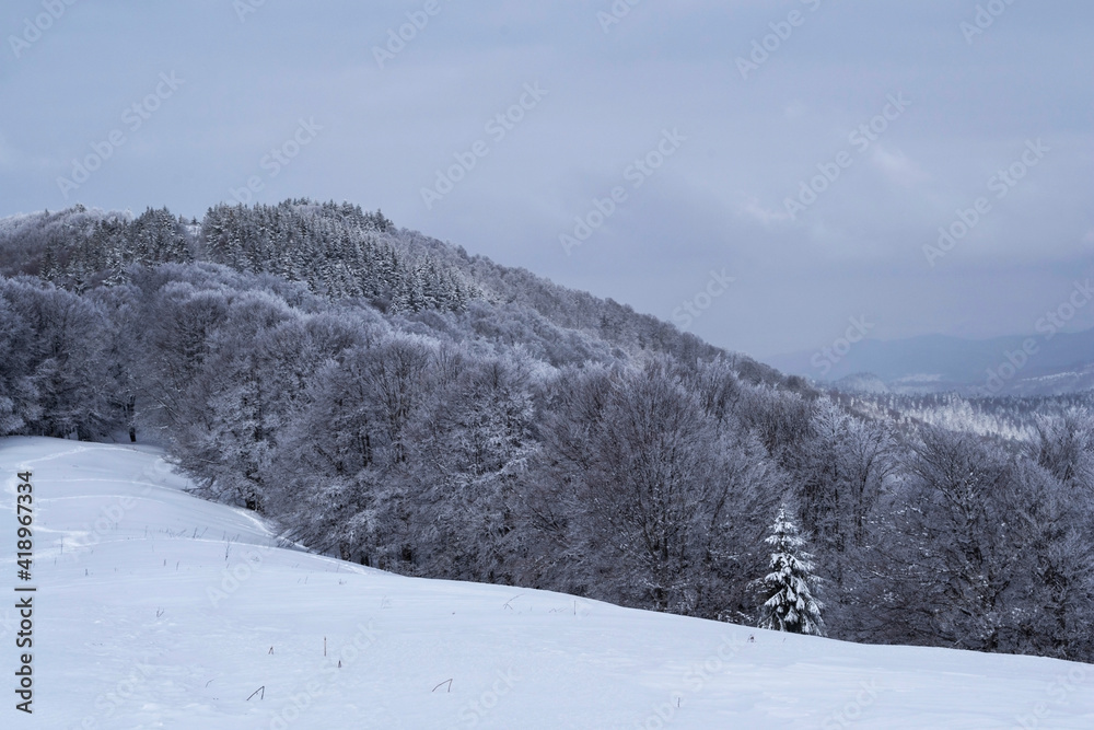 Grecul peak toward Leuca Mica peak. Winter landscape between Azuga and Grecului valley towards Gura Diham chalet