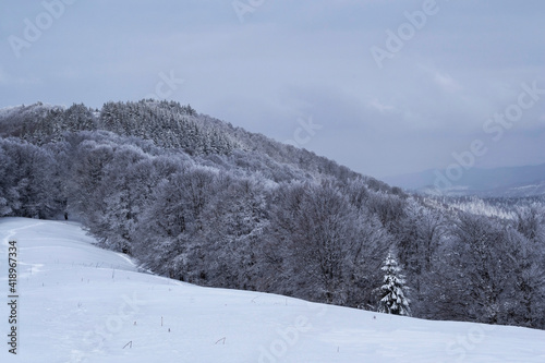 Grecul peak toward Leuca Mica peak. Winter landscape between Azuga and Grecului valley towards Gura Diham chalet © Sulugiuc