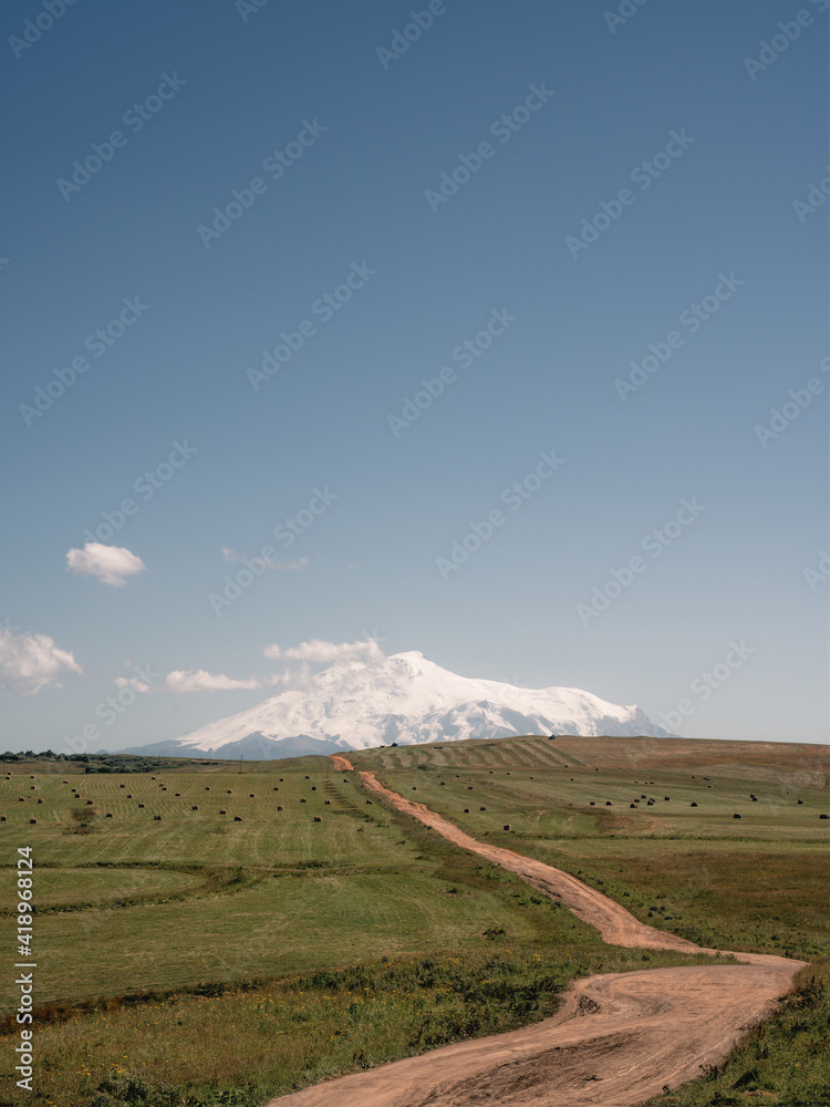 Meadows with a view of Mount Elbrus in the Caucasus. Vertical landscape.