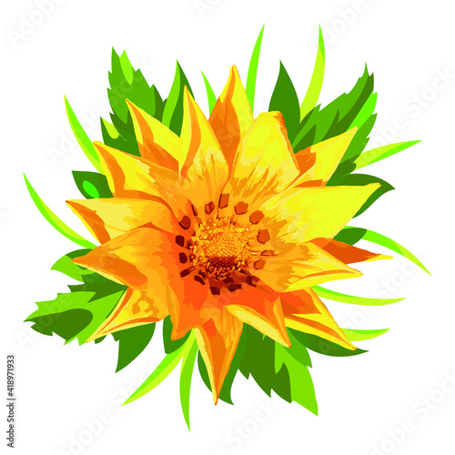 flowers illustration spring bright vector