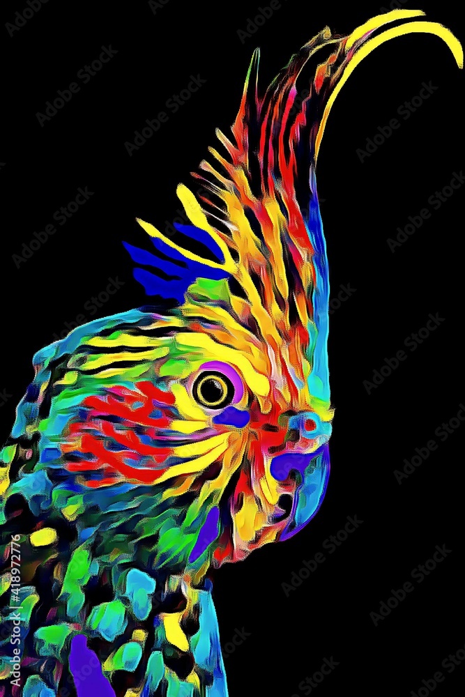 Obraz premium Calopsitte multicolore - Perruche