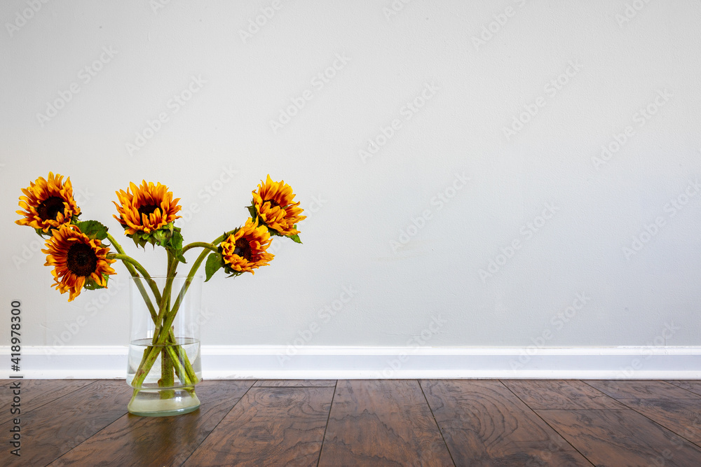 Interior of an empty room with sunflowers in a vase placed on laminated hardwood floor next to the wall’s baseboard 