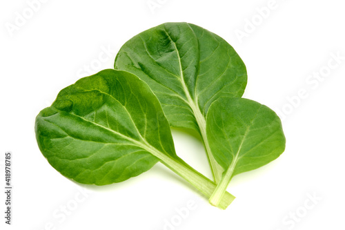 Spinach leaves, isolated on white background. High resolution image